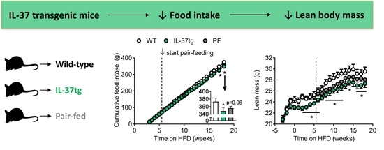 rencontre has 2010 du 2 et 3 dec 2010