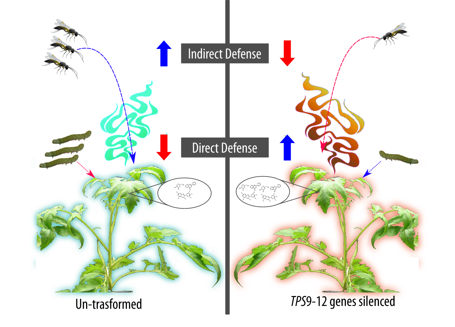 IJMS Free FullText TPS Genes Silencing Alters Constitutive