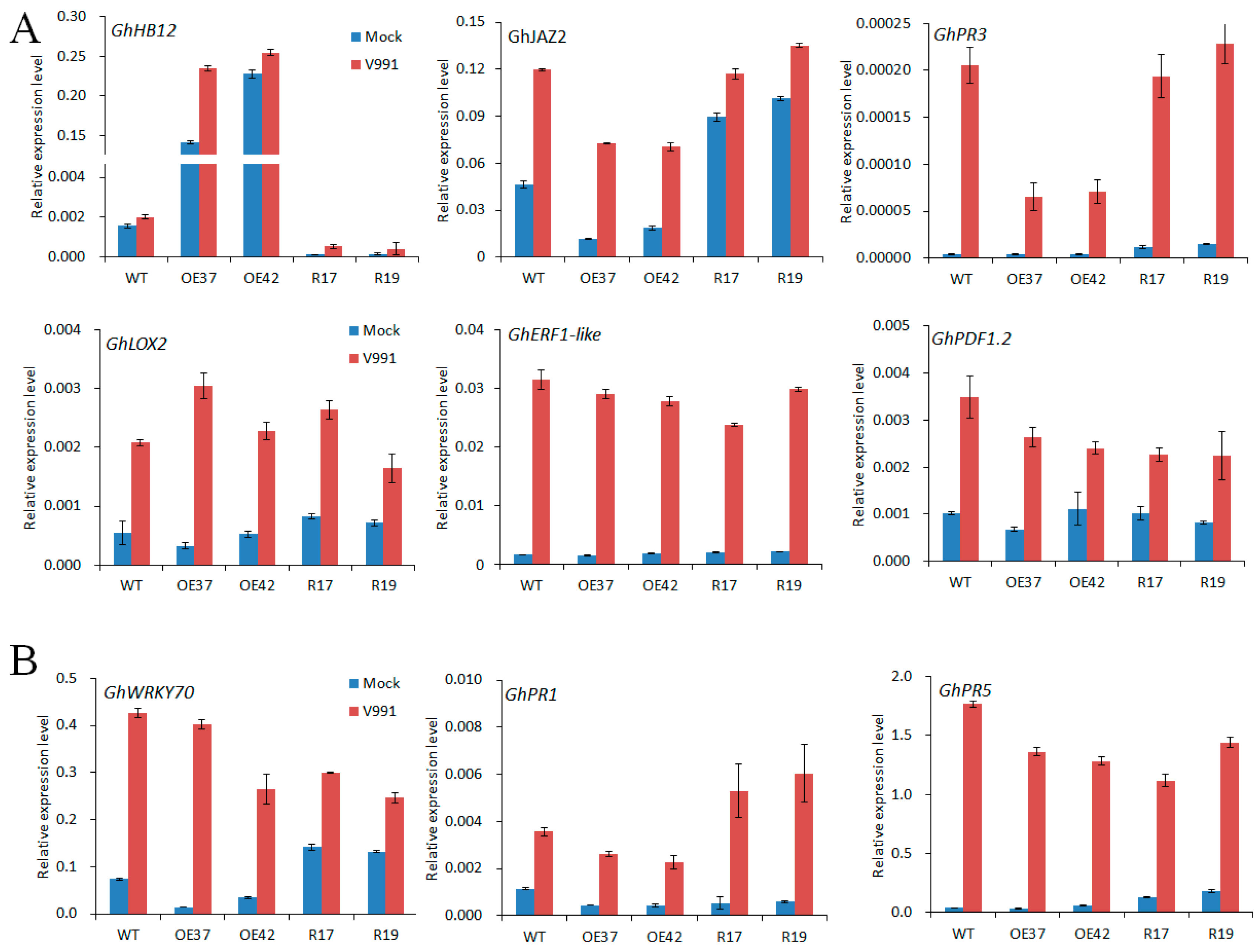 Ijms 19 03997 g006 Ijms 19 03997 g006