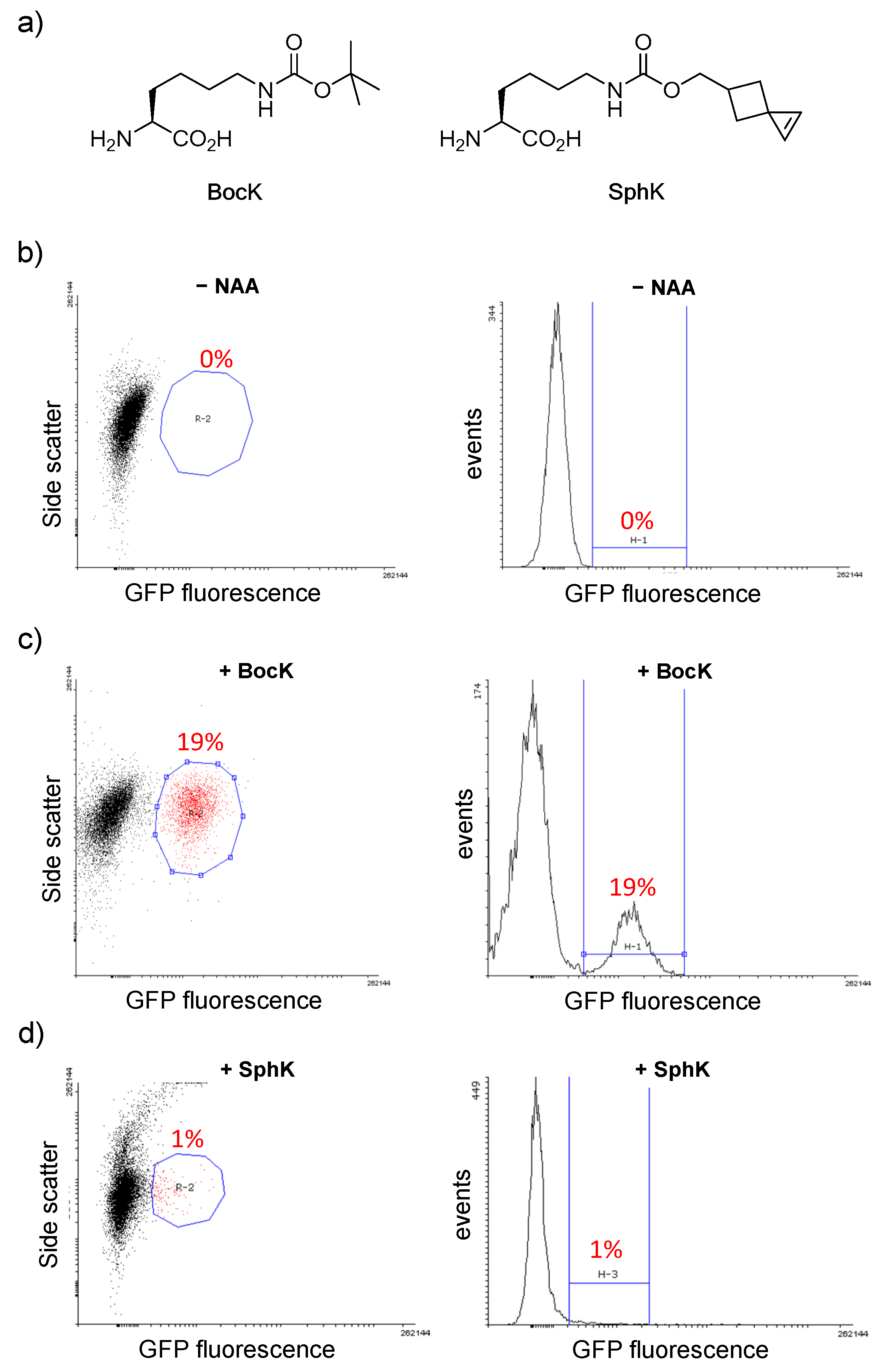 Ijms 20 00029 g002 Ijms 20 00029 g002