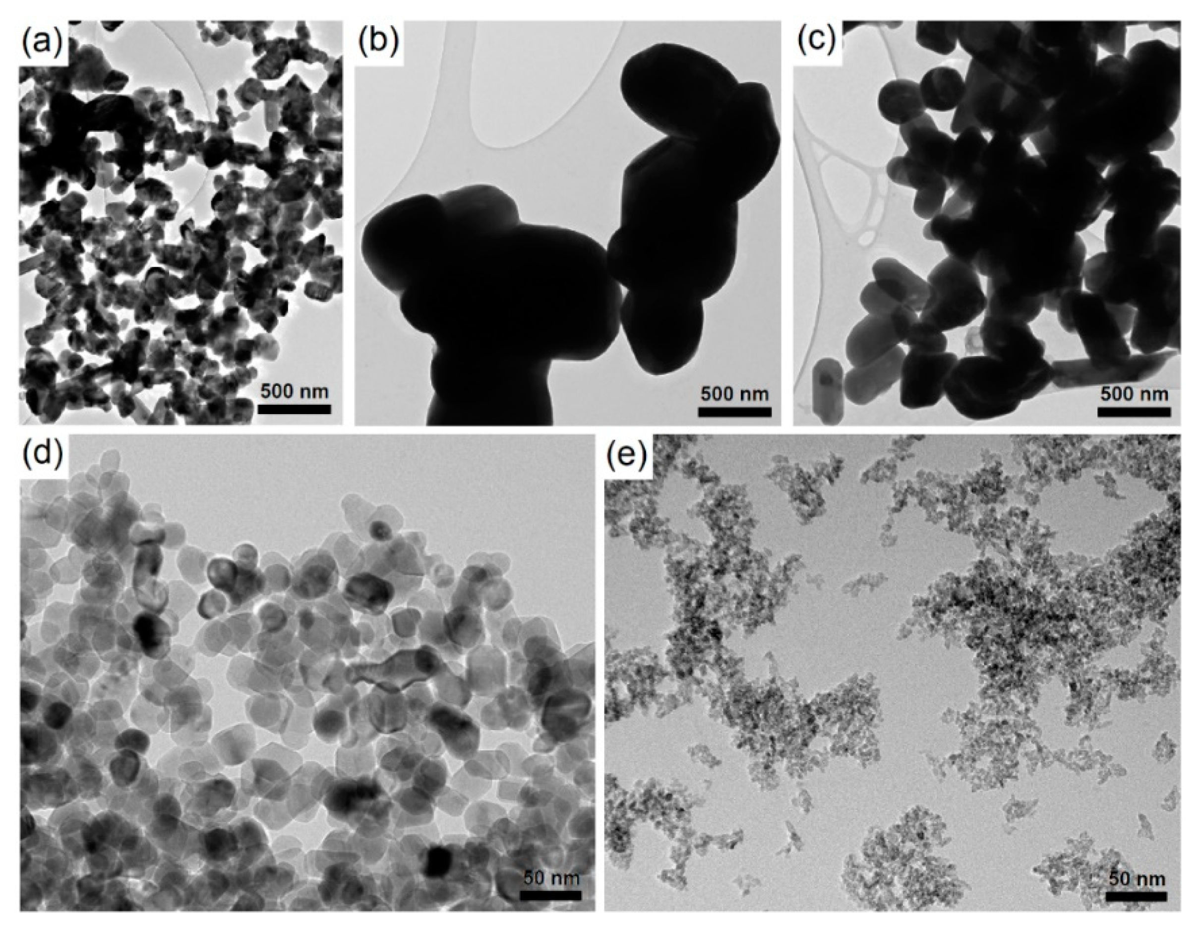 Ijms 20 00196 g001 Ijms 20 00196 g001