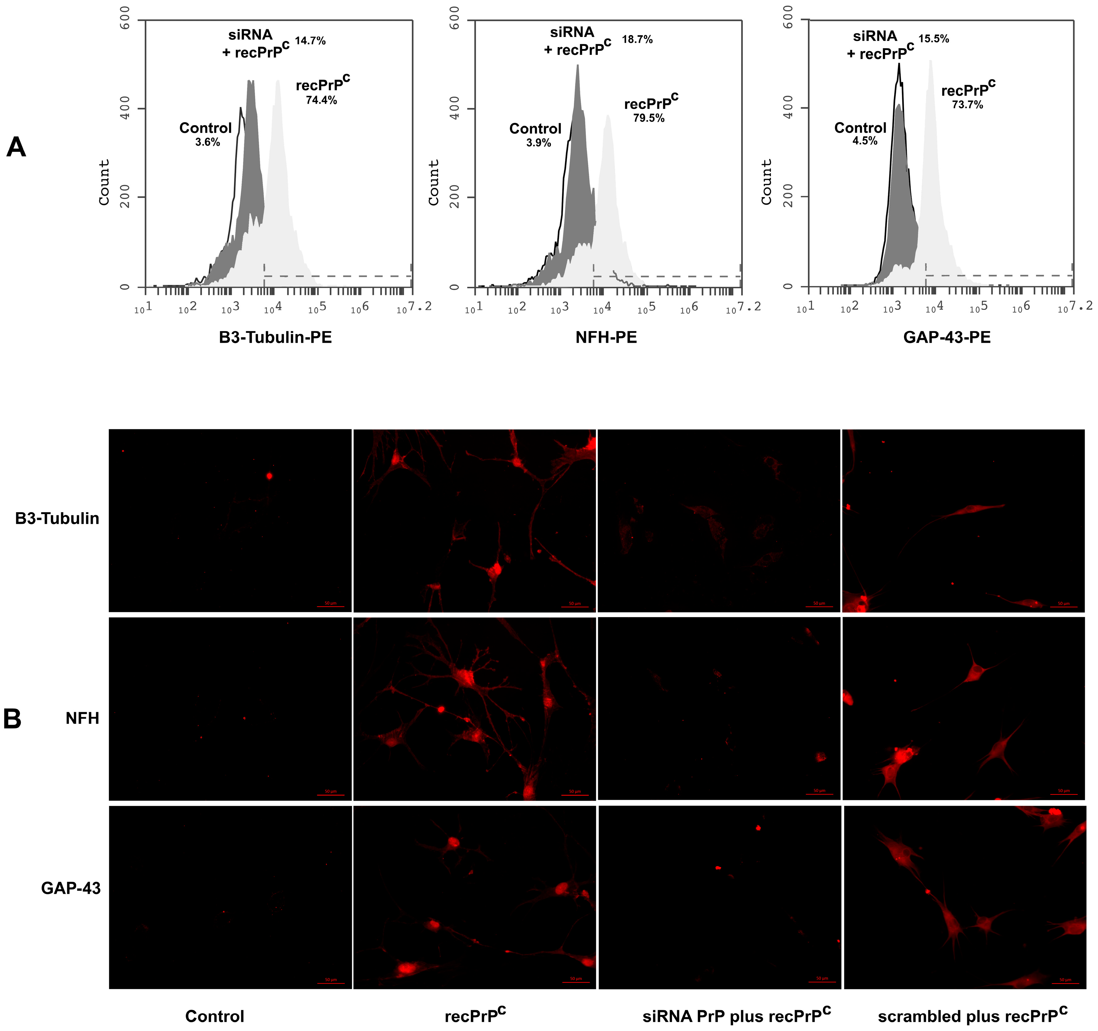Ijms 20 00345 g005 Ijms 20 00345 g005