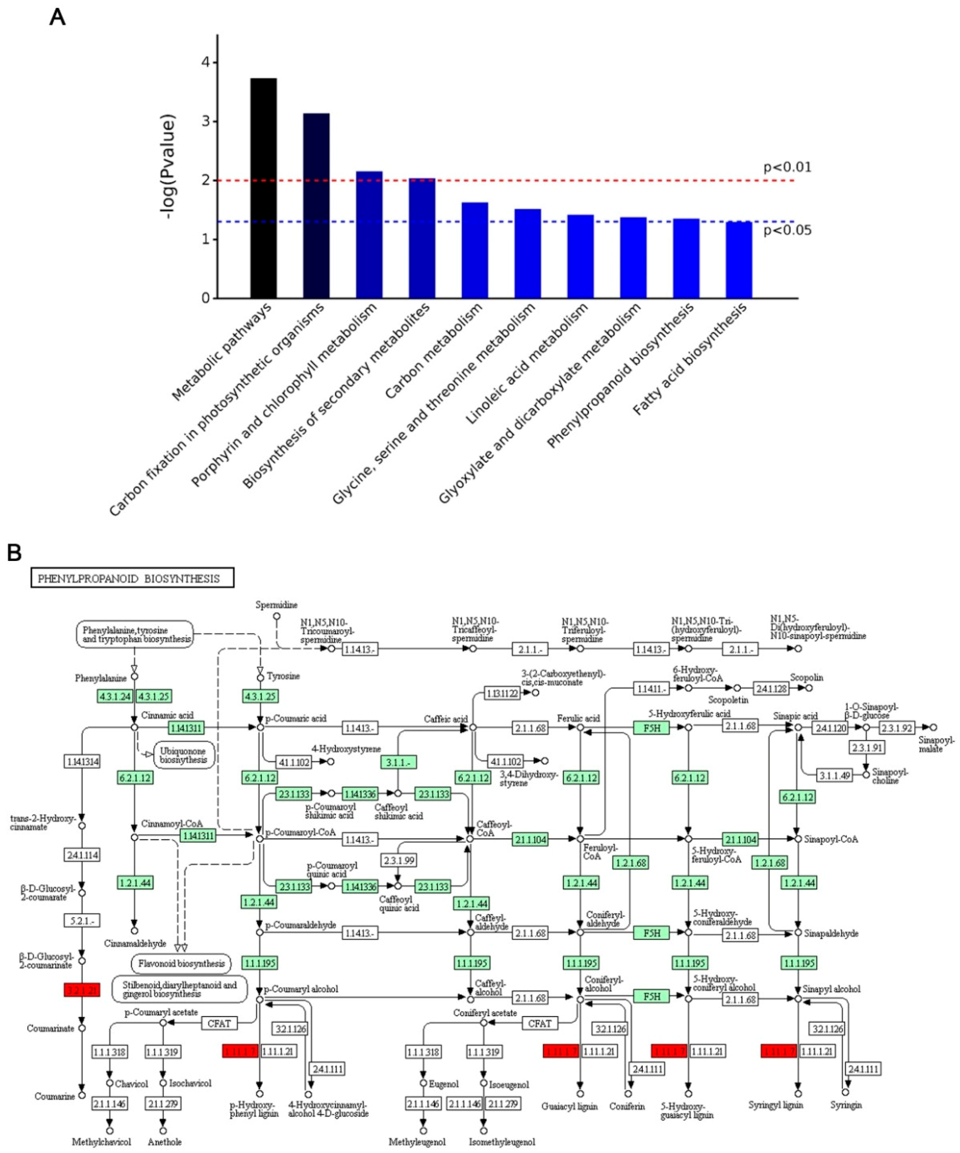 Ijms 20 01294 g003 Ijms 20 01294 g003