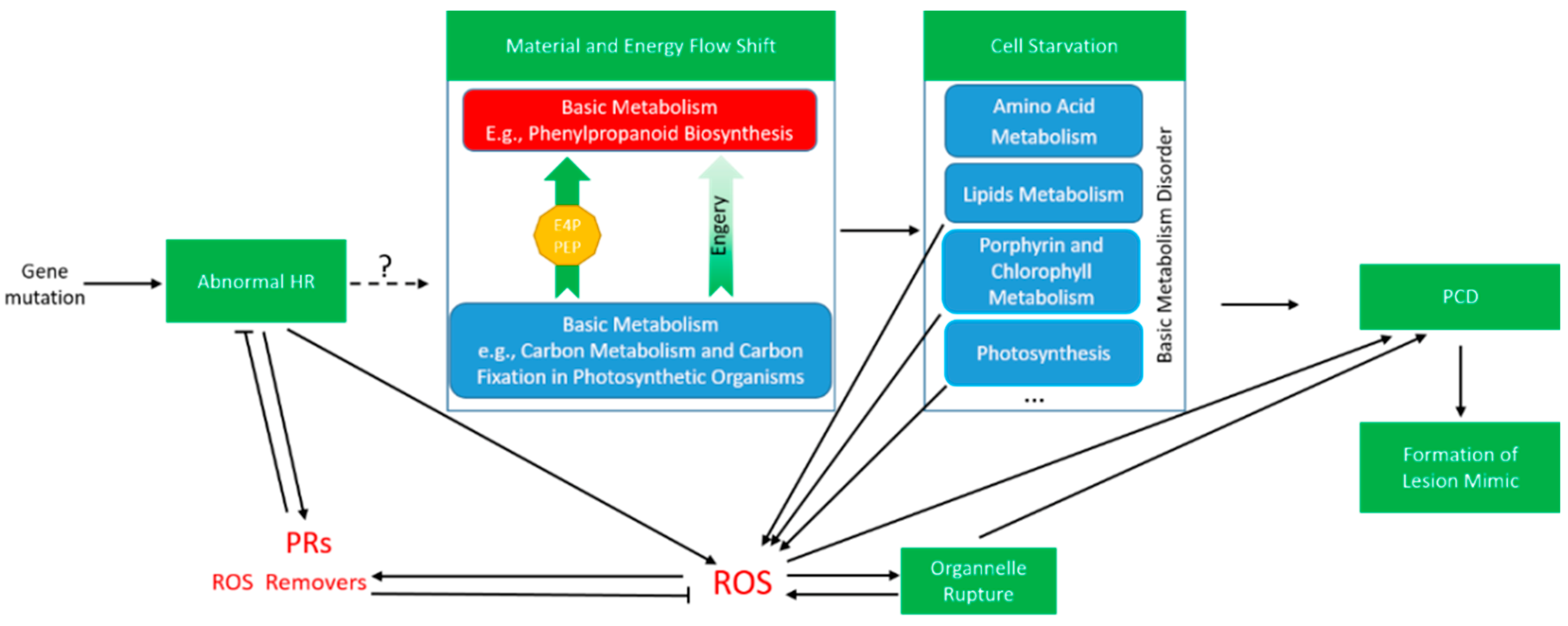 Ijms 20 01294 g005 Ijms 20 01294 g005