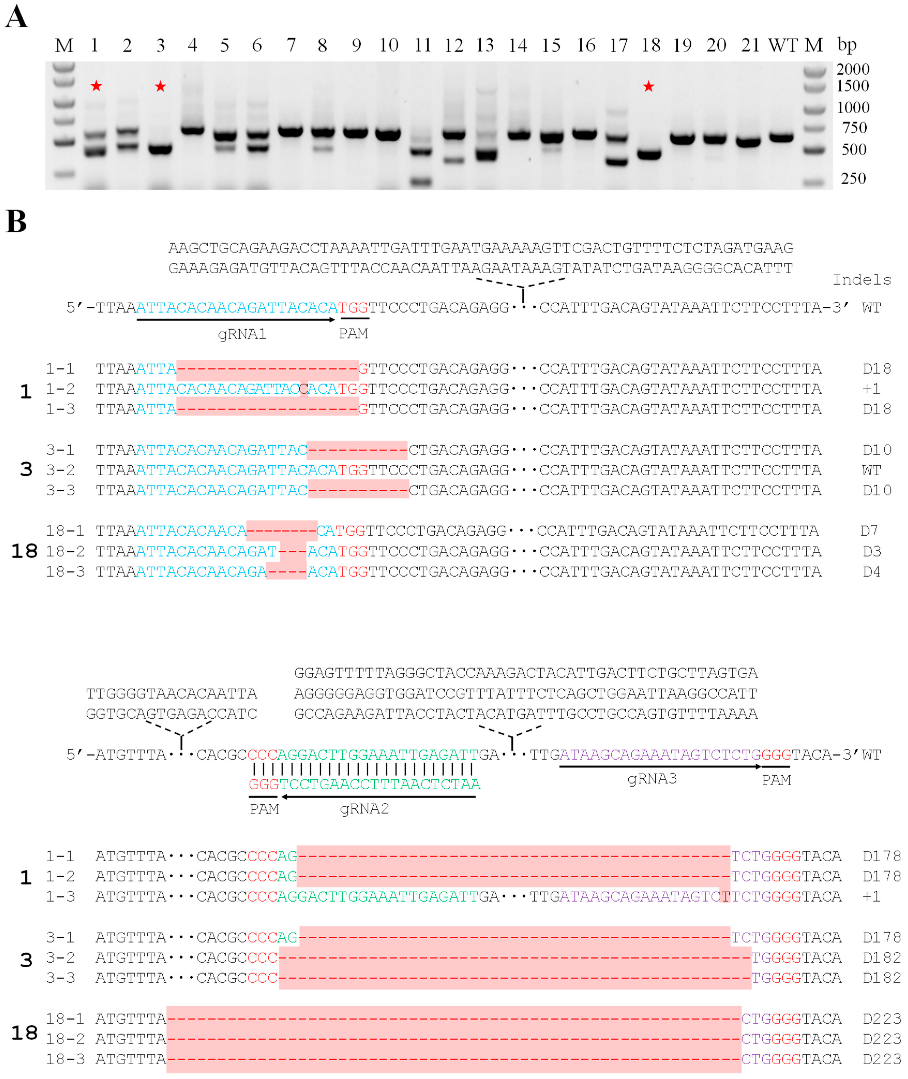 Ijms 20 02471 g003 Ijms 20 02471 g003