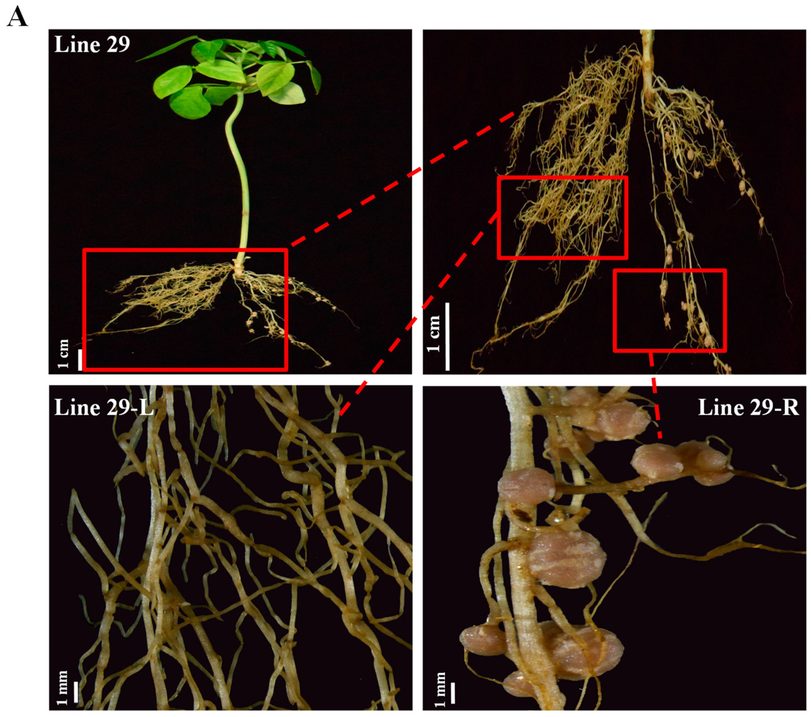 Ijms 20 02471 g005a Ijms 20 02471 g005a