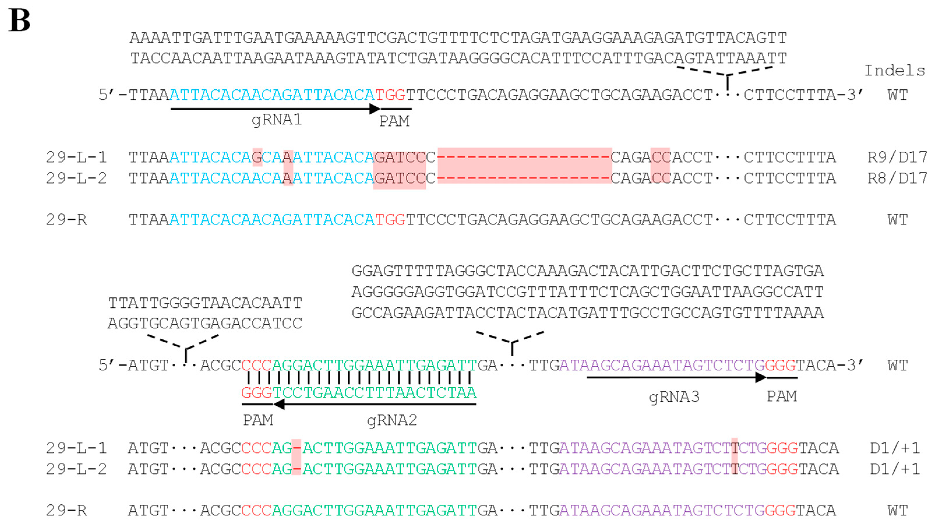 Ijms 20 02471 g005b Ijms 20 02471 g005b