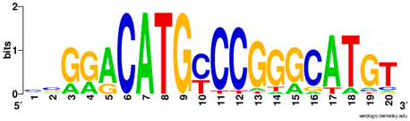 Ijms 20 03681 i001 Ijms 20 03681 i001