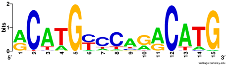 Ijms 20 03681 i002 Ijms 20 03681 i002