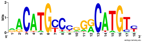 Ijms 20 03681 i003 Ijms 20 03681 i003