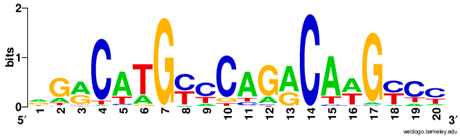 Ijms 20 03681 i004 Ijms 20 03681 i004