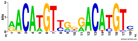 Ijms 20 03681 i005 Ijms 20 03681 i005