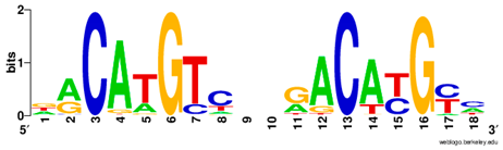 Ijms 20 03681 i006 Ijms 20 03681 i006