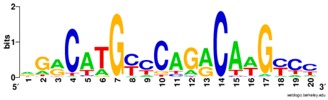 Ijms 20 03681 i007 Ijms 20 03681 i007