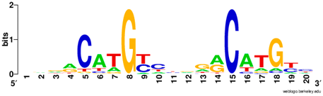 Ijms 20 03681 i008 Ijms 20 03681 i008