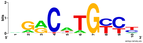 Ijms 20 03681 i010 Ijms 20 03681 i010