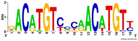 Ijms 20 03681 i011 Ijms 20 03681 i011