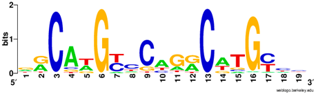 Ijms 20 03681 i012 Ijms 20 03681 i012