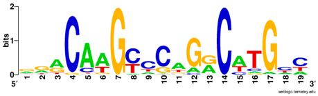 Ijms 20 03681 i014 Ijms 20 03681 i014