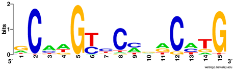 Ijms 20 03681 i015 Ijms 20 03681 i015