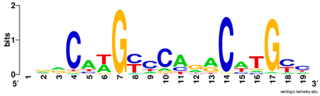 Ijms 20 03681 i016 Ijms 20 03681 i016