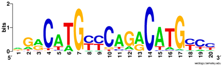 Ijms 20 03681 i017 Ijms 20 03681 i017