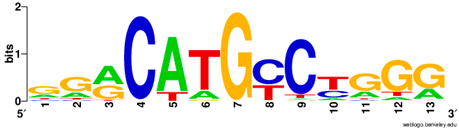 Ijms 20 03681 i018 Ijms 20 03681 i018