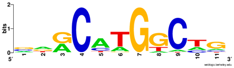 Ijms 20 03681 i020 Ijms 20 03681 i020