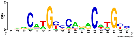 Ijms 20 03681 i021 Ijms 20 03681 i021