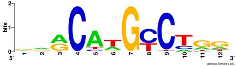 Ijms 20 03681 i022 Ijms 20 03681 i022