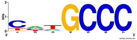 Ijms 20 03681 i023 Ijms 20 03681 i023