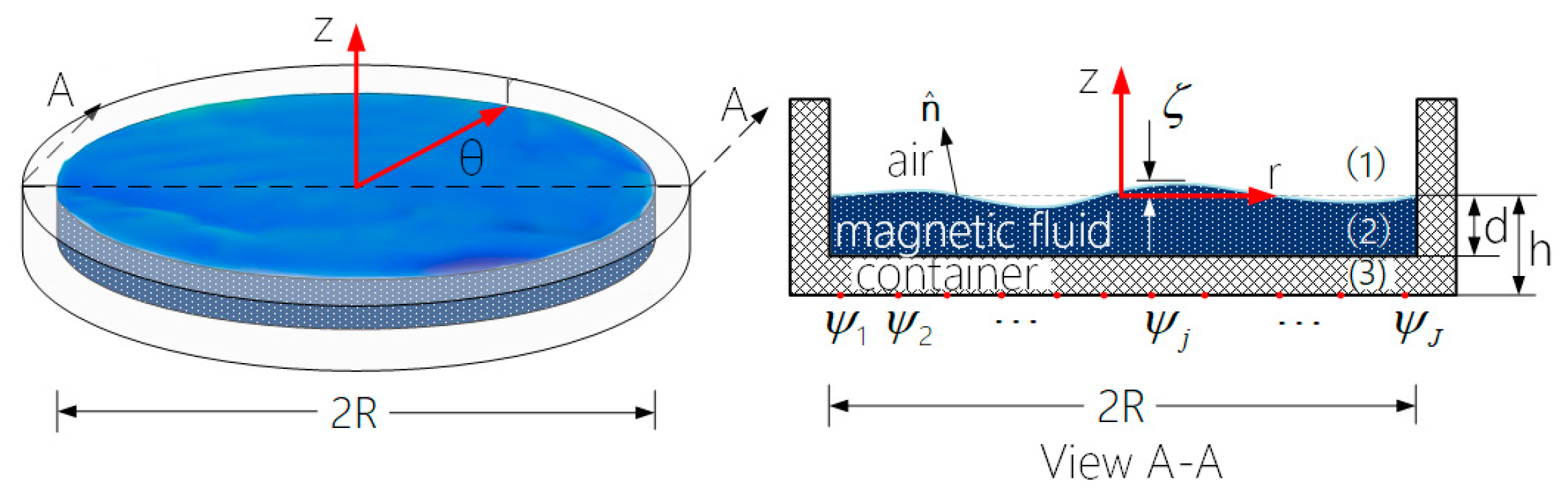 Ijms 20 03697 g001 Ijms 20 03697 g001