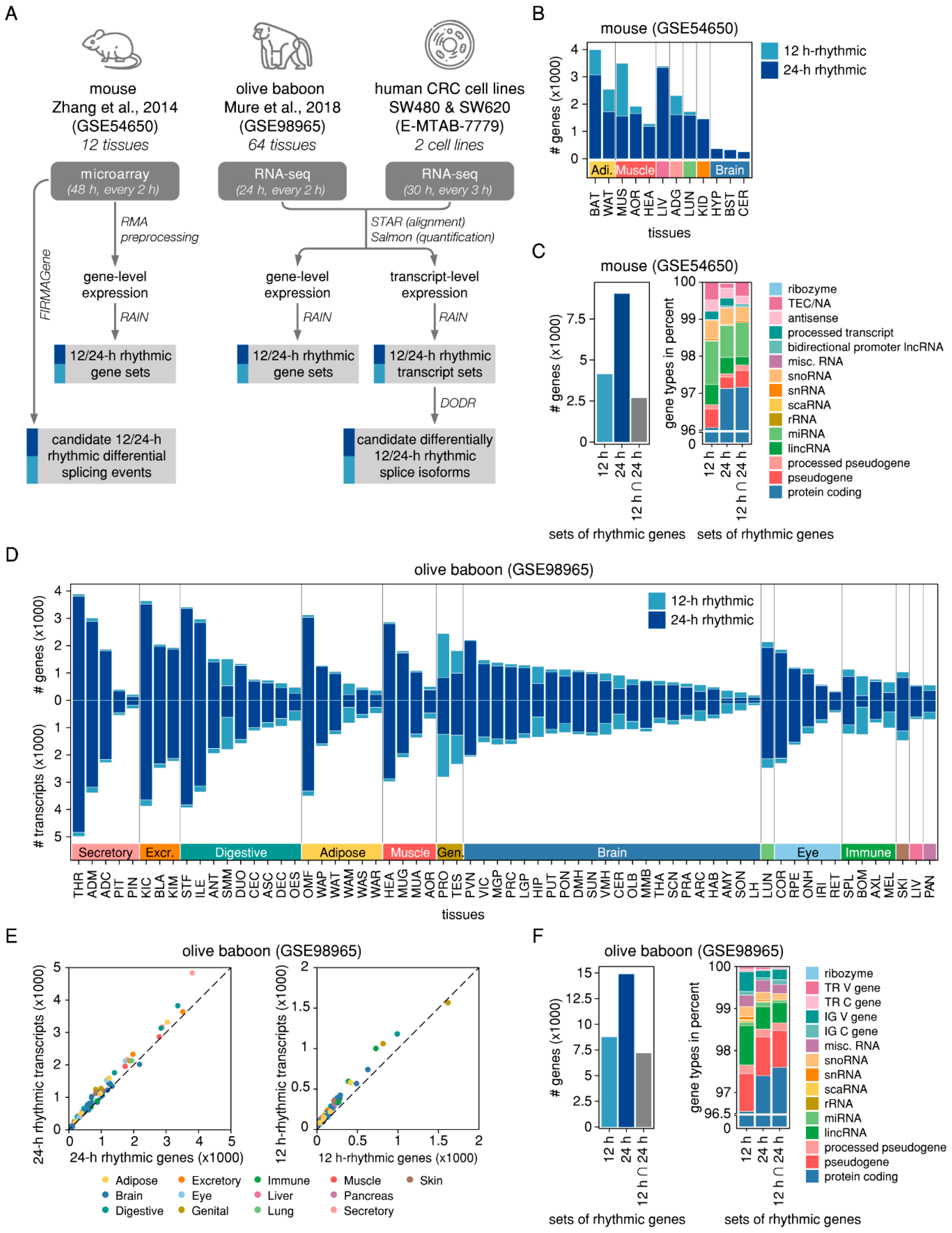 Ijms 20 03977 g001 Ijms 20 03977 g001