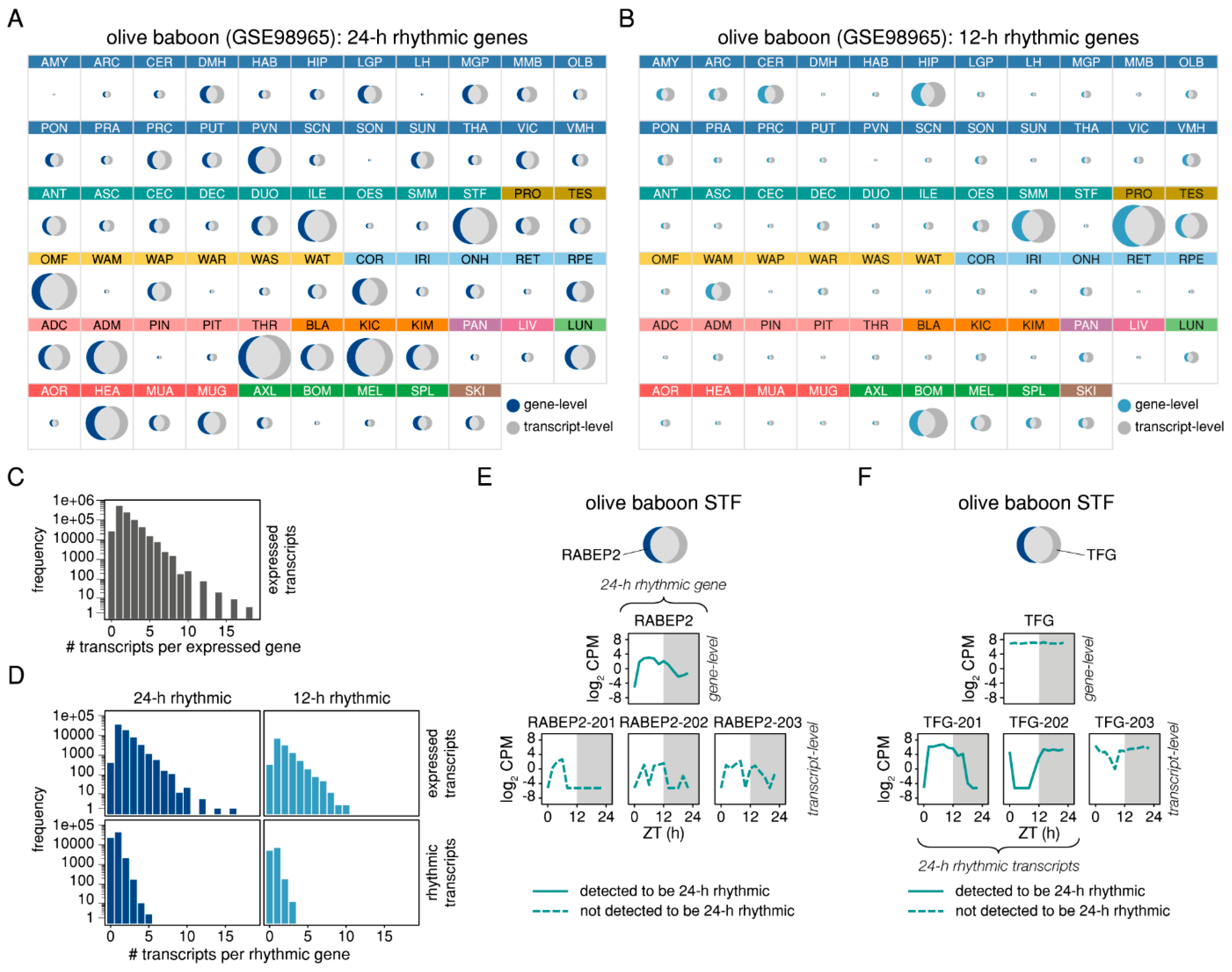 Ijms 20 03977 g002 Ijms 20 03977 g002