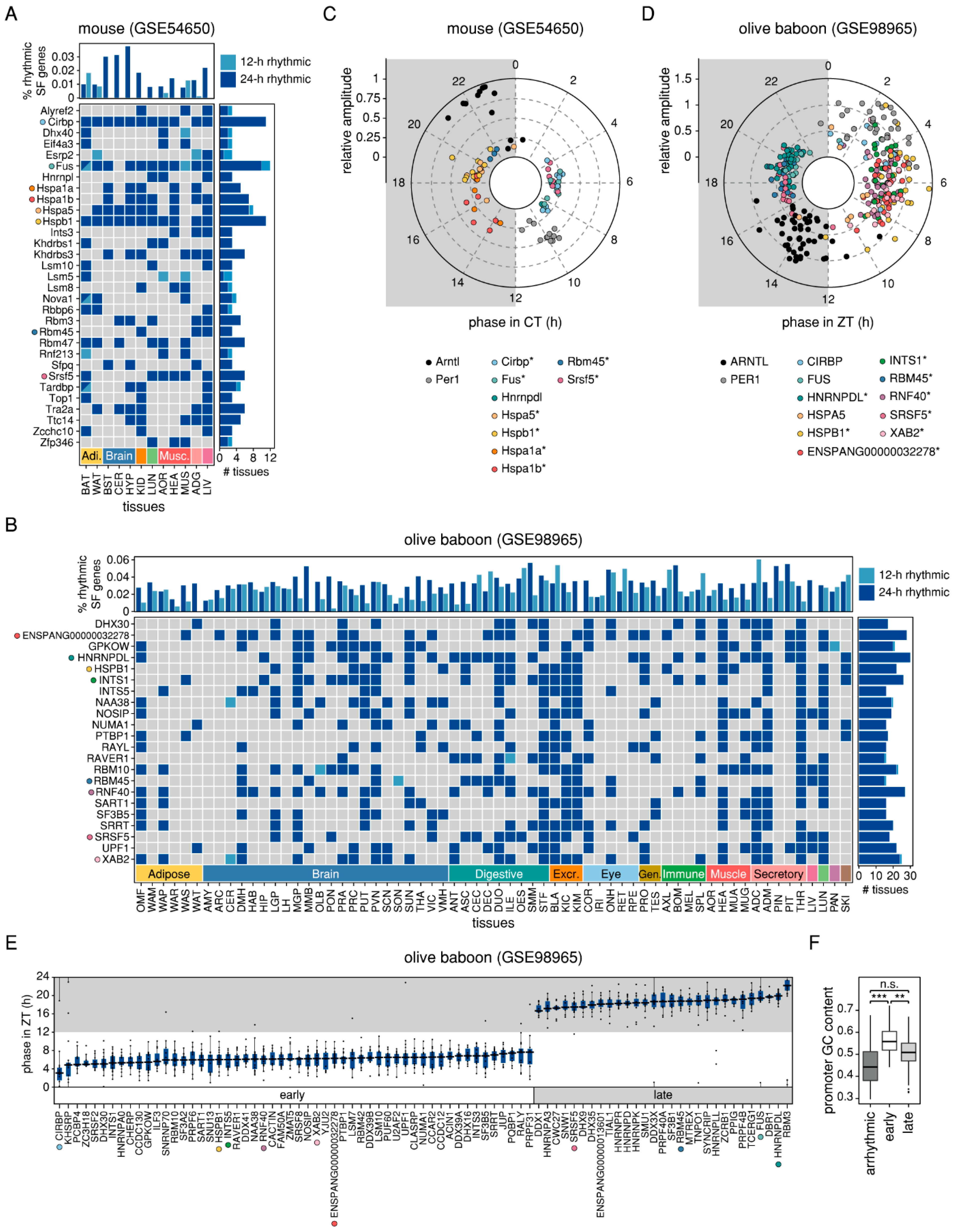 Ijms 20 03977 g003 Ijms 20 03977 g003