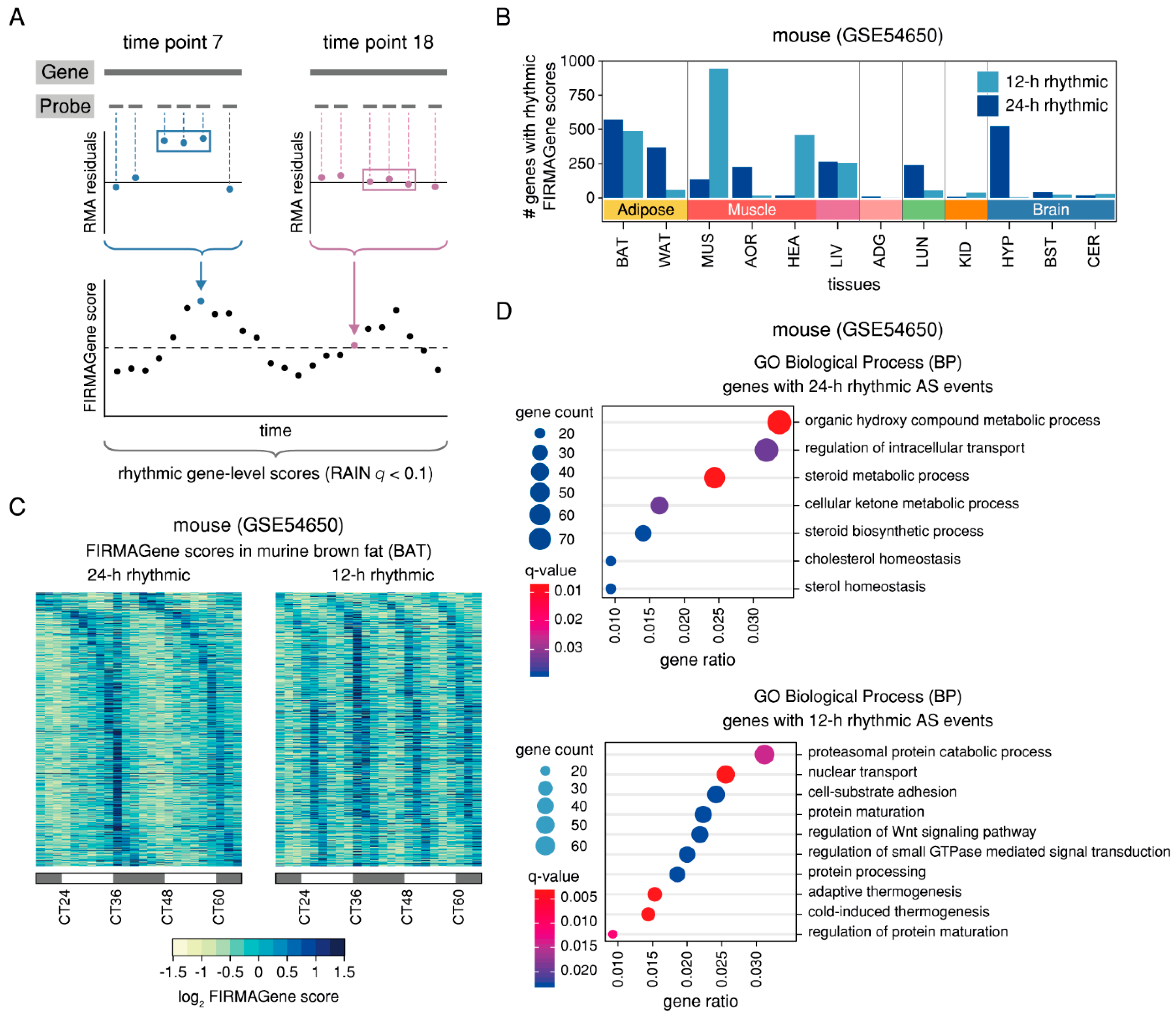 Ijms 20 03977 g004 Ijms 20 03977 g004