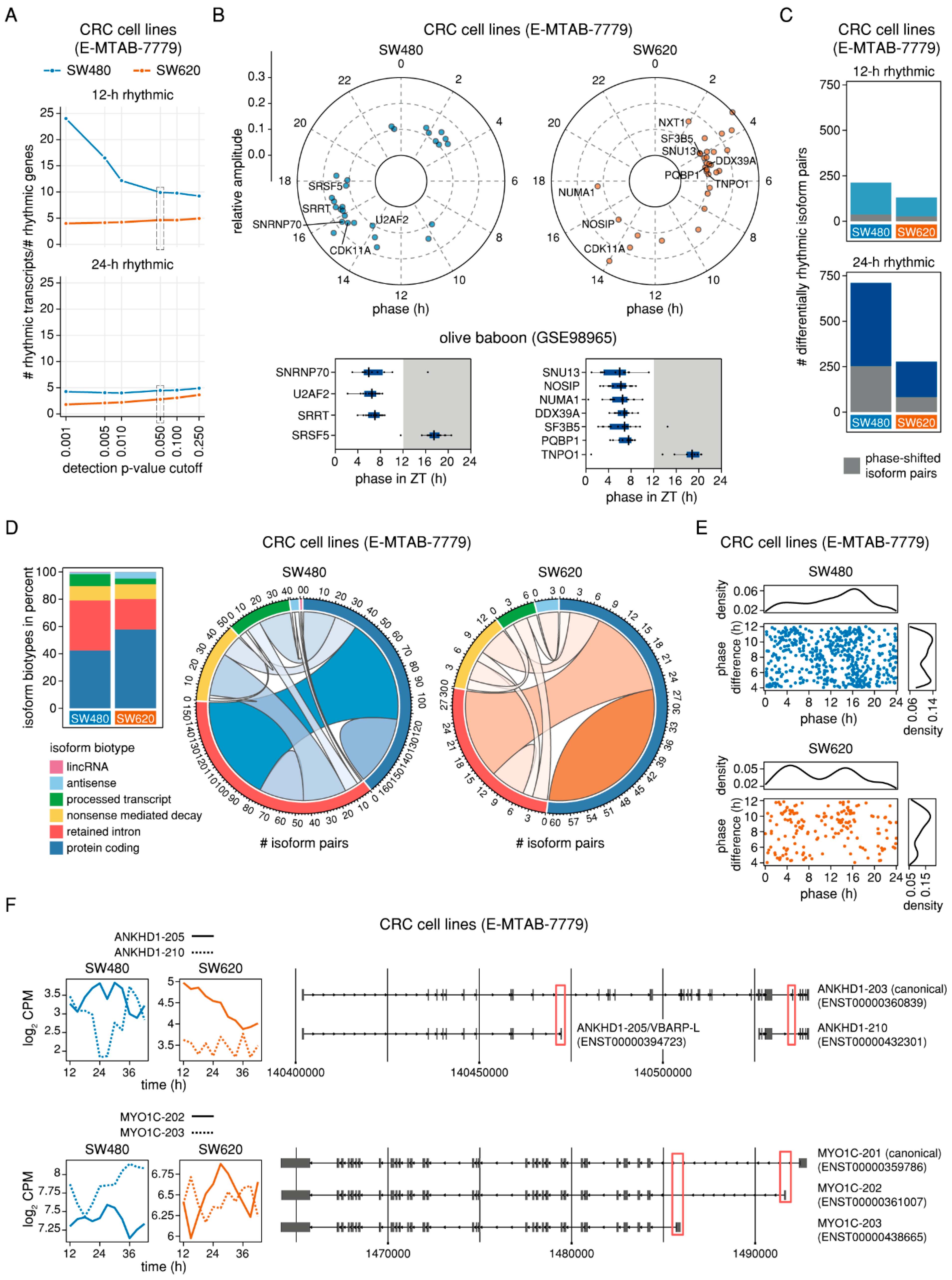 Ijms 20 03977 g006 Ijms 20 03977 g006