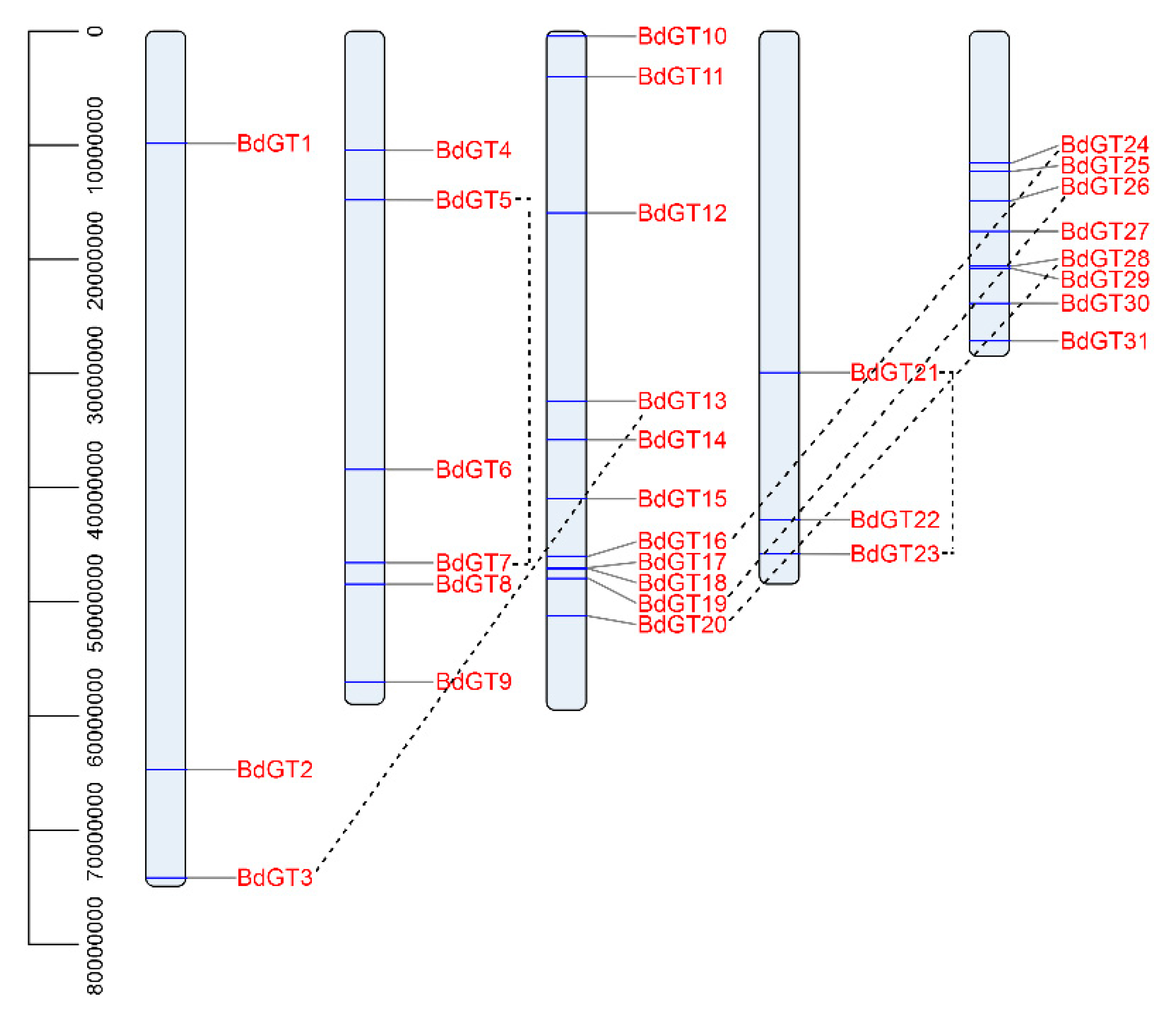 Ijms 20 04115 g001 Ijms 20 04115 g001
