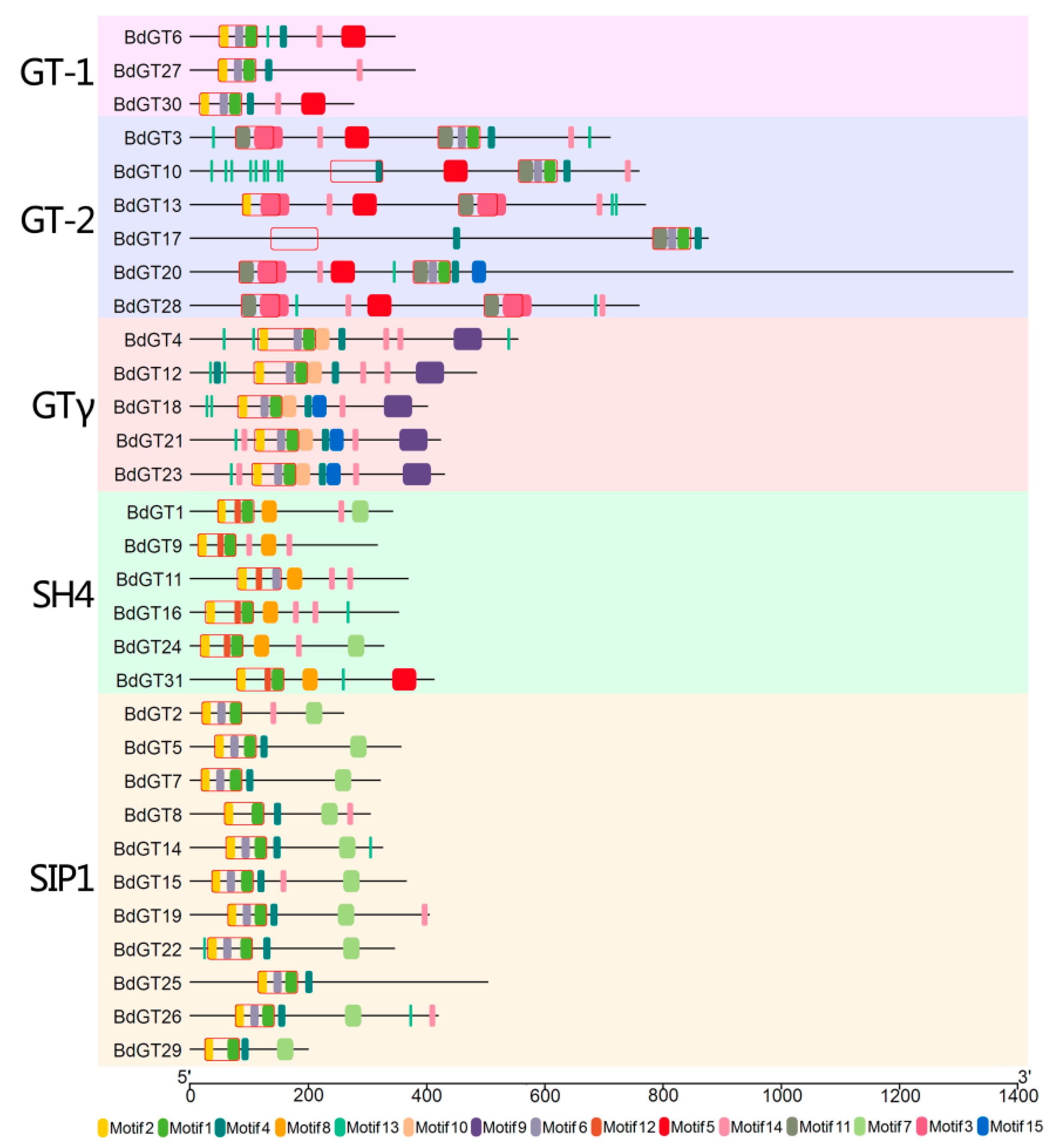 Ijms 20 04115 g003 Ijms 20 04115 g003