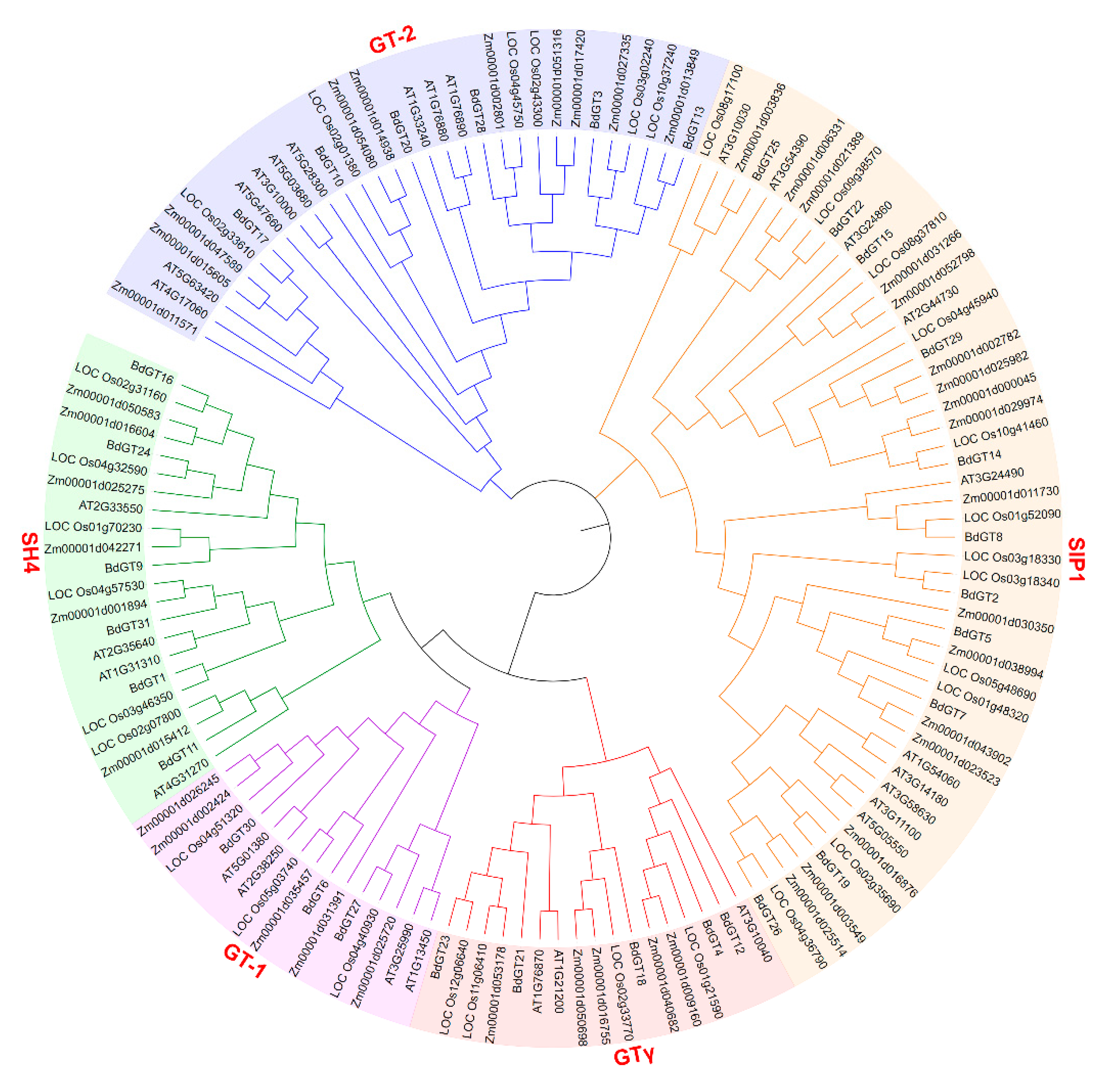 Ijms 20 04115 g004 Ijms 20 04115 g004