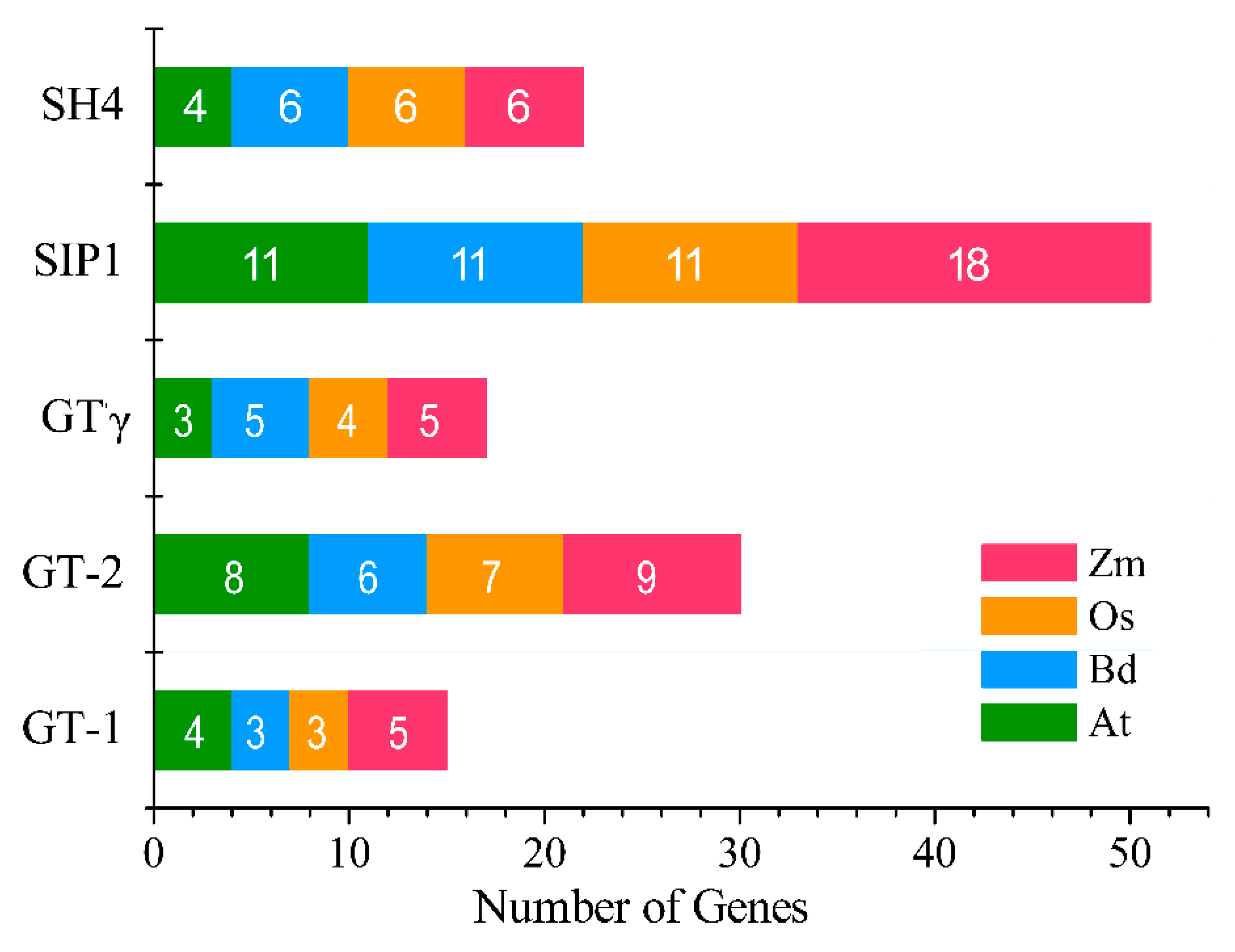 Ijms 20 04115 g005 Ijms 20 04115 g005