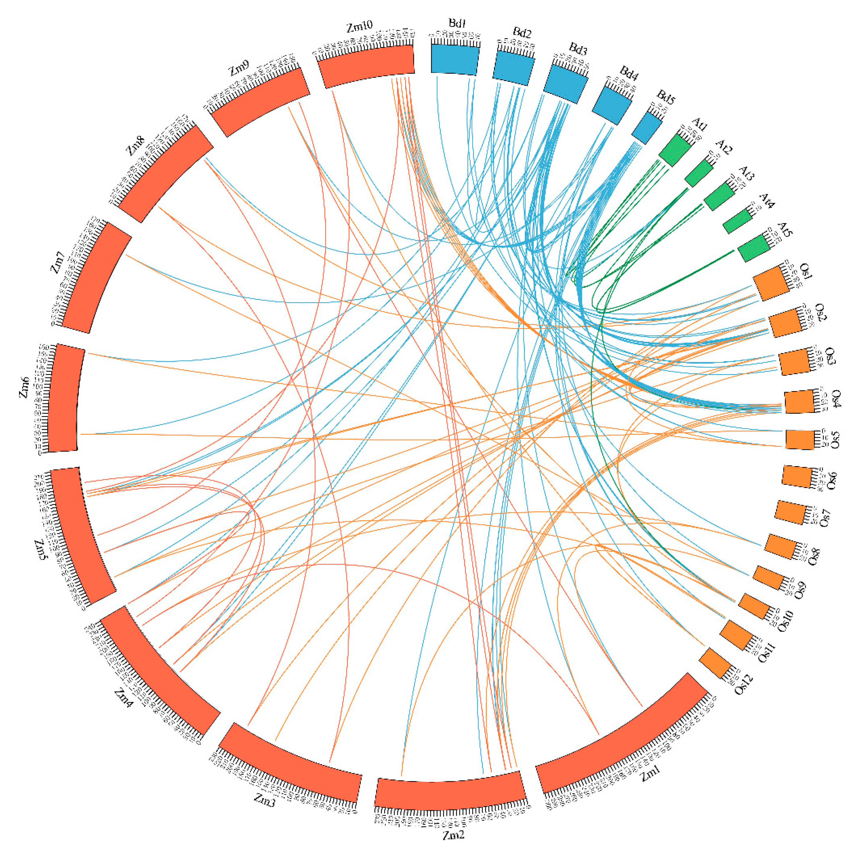 Ijms 20 04115 g006 Ijms 20 04115 g006