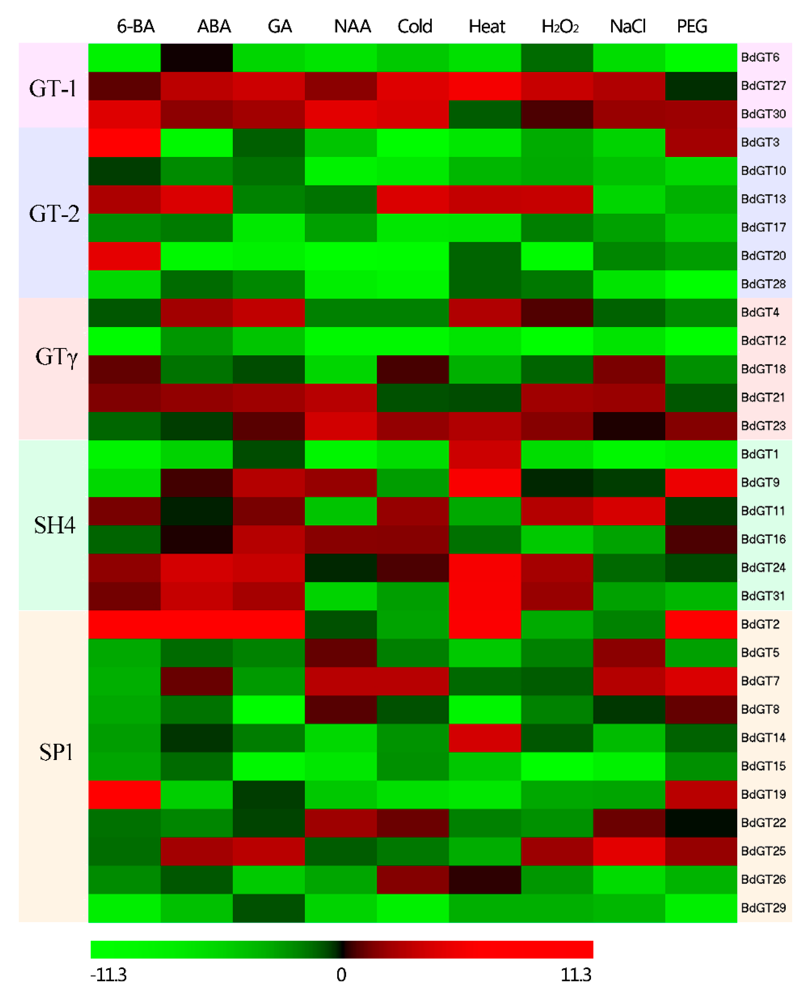Ijms 20 04115 g007 Ijms 20 04115 g007