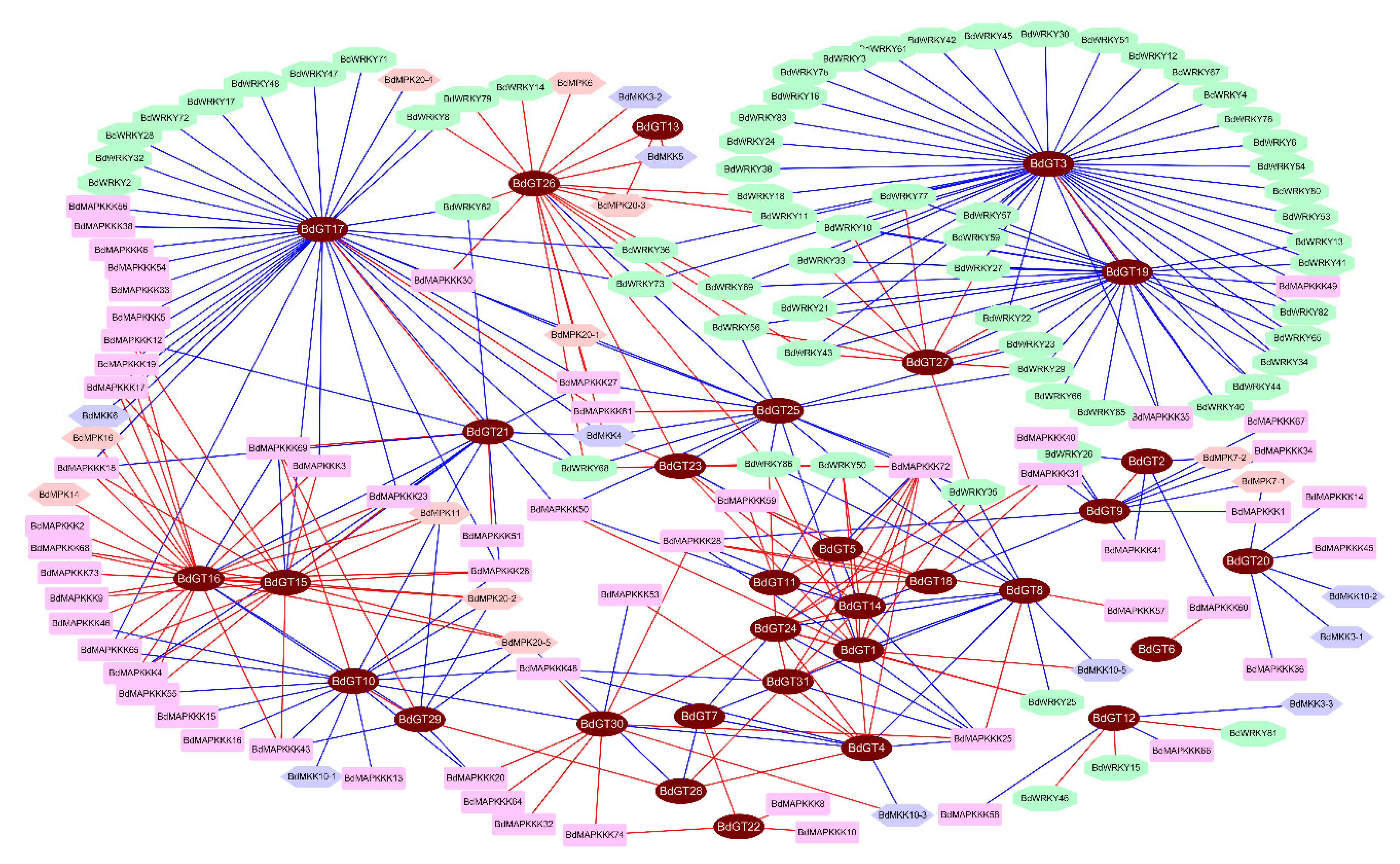 Ijms 20 04115 g008 Ijms 20 04115 g008