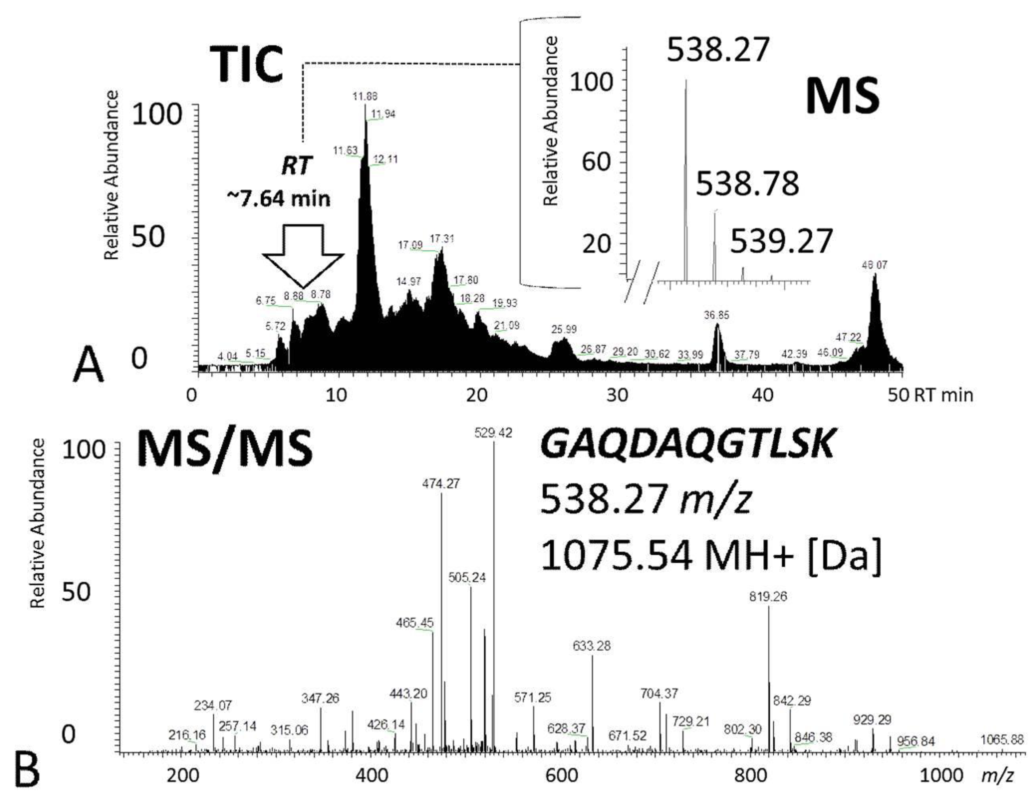 Ijms 20 04229 g003 Ijms 20 04229 g003