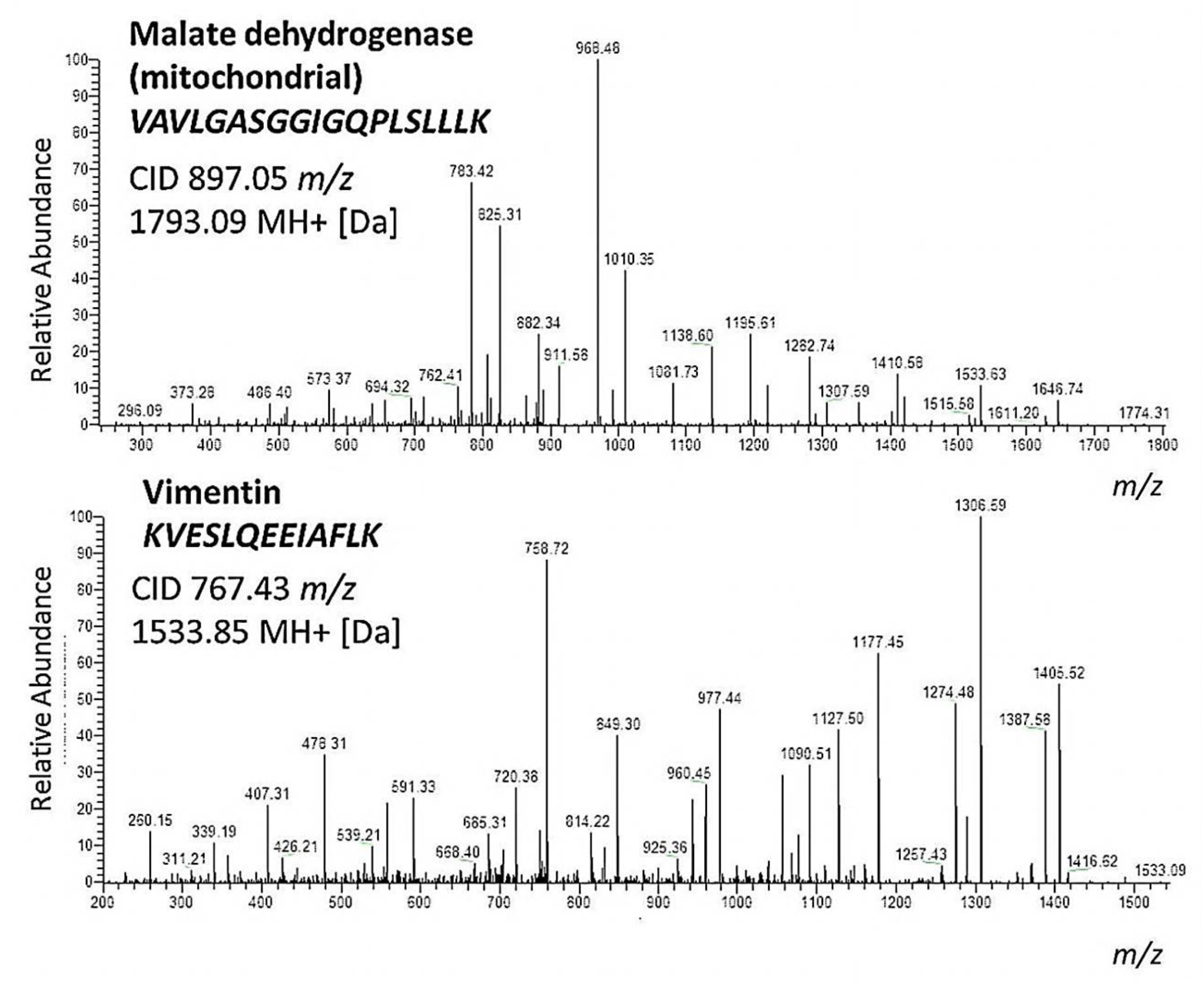 Ijms 20 04229 g004 Ijms 20 04229 g004