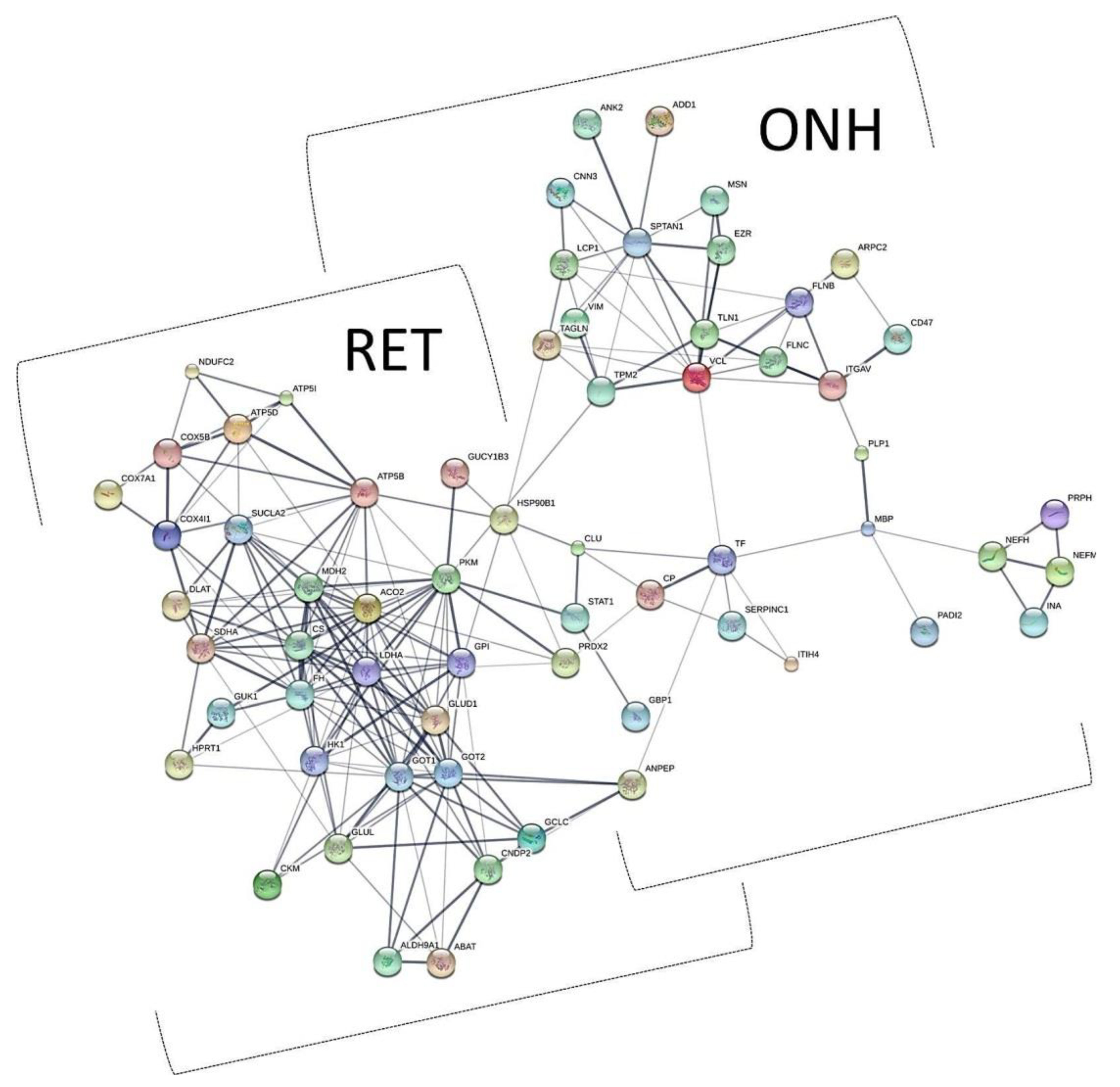Ijms 20 04229 g010 Ijms 20 04229 g010