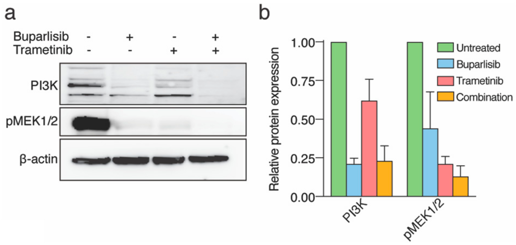 Ijms 20 04235 g002 Ijms 20 04235 g002
