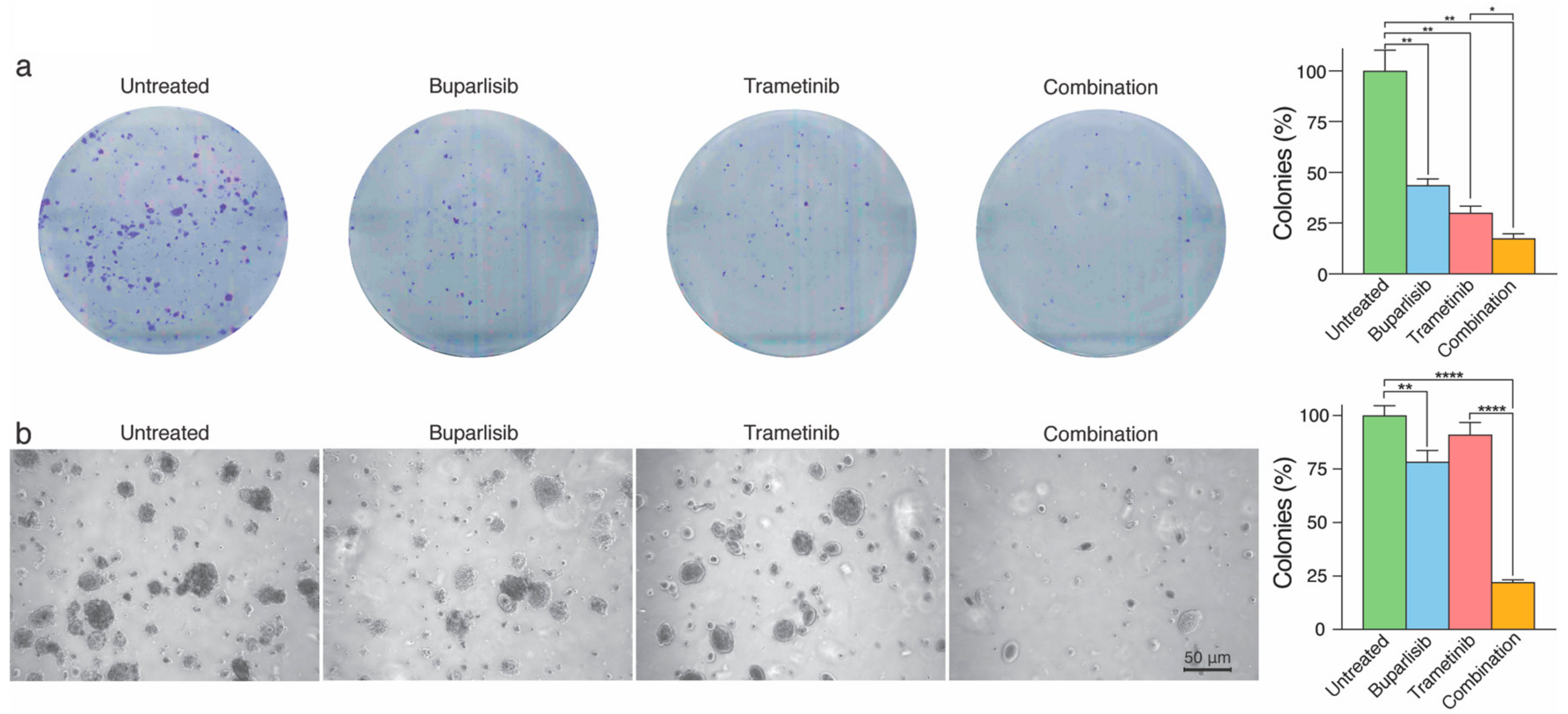 Ijms 20 04235 g003 Ijms 20 04235 g003