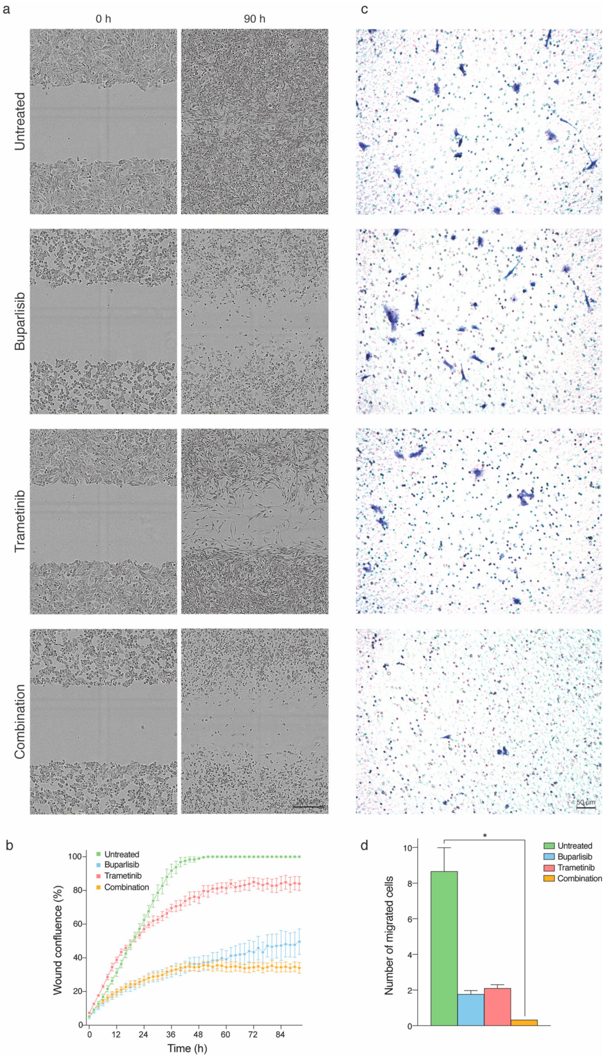 Ijms 20 04235 g004 Ijms 20 04235 g004